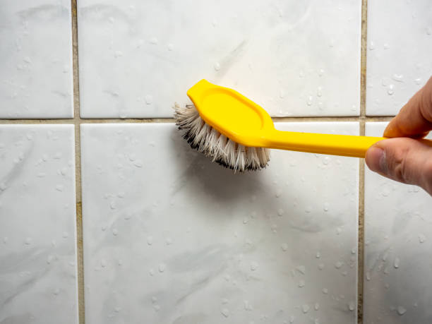 Best Home Mold Removal  in Emigsville, PA
